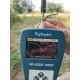 Телескопічна антена для рацій Motorola DP4400, DP4400e, DP4800e, DP4800, R7