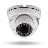 Антивандальна IP камера GV-055-IP-G-DOS20V-30