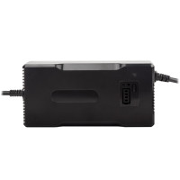 Зарядний пристрій для акумуляторів LiFePO4 36V (43.2V)-5A-180W