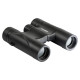 Бінокль SIGETA INTREK 10x25