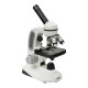 Мікроскоп SIGETA MB-135 40x-1000x LED Mono